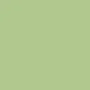 Tinta Premium Fosco Luxor - Verde Kiwi
